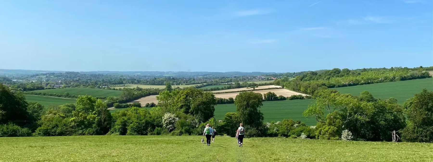 alton walking festival 2024 clean