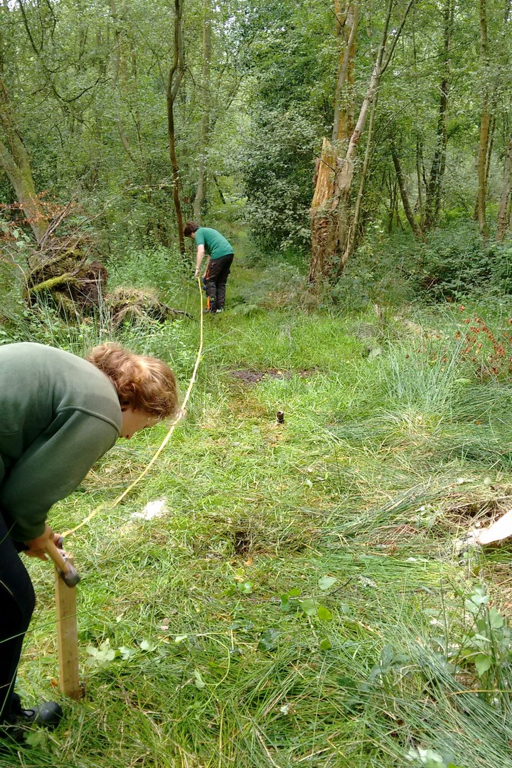 01 laying out the site