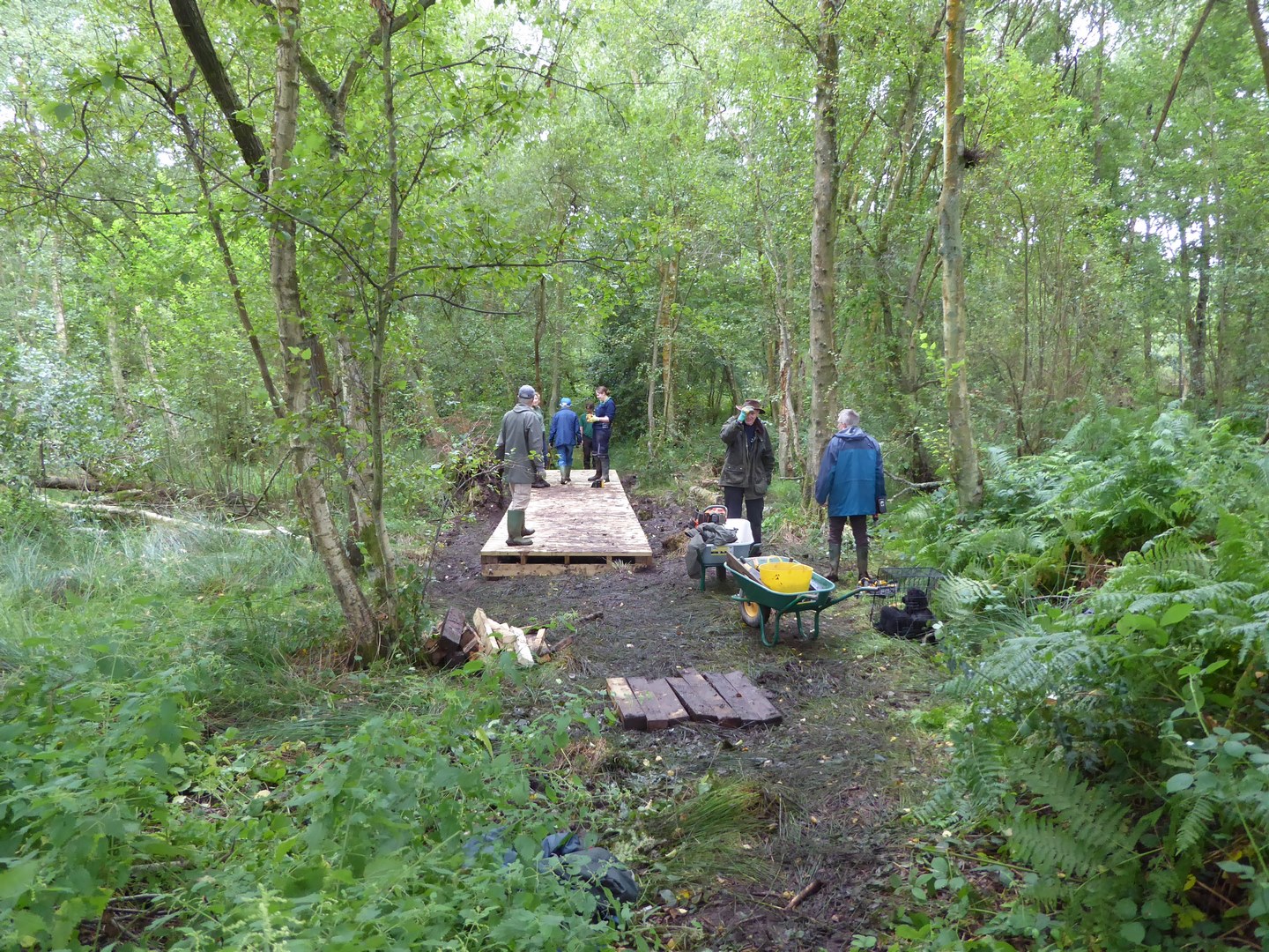 24 prospect of completed boardwalk with Lynns addition